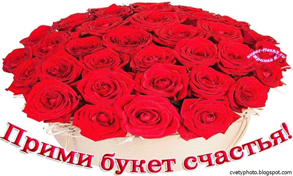 Красивая открытка с розами на День Рождения