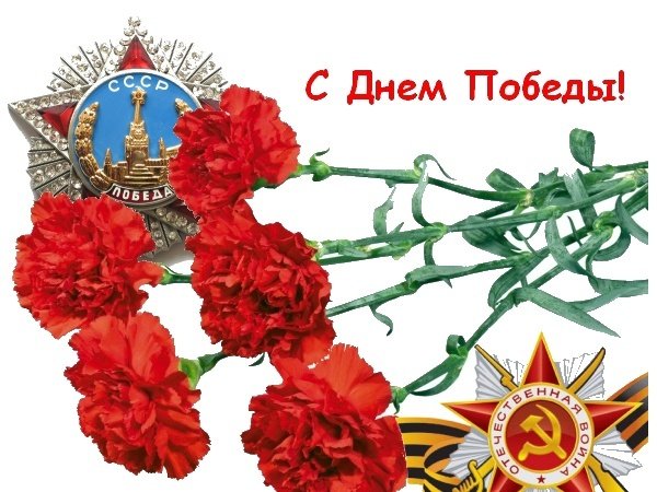 Красные гвоздики с георгиевской лентой