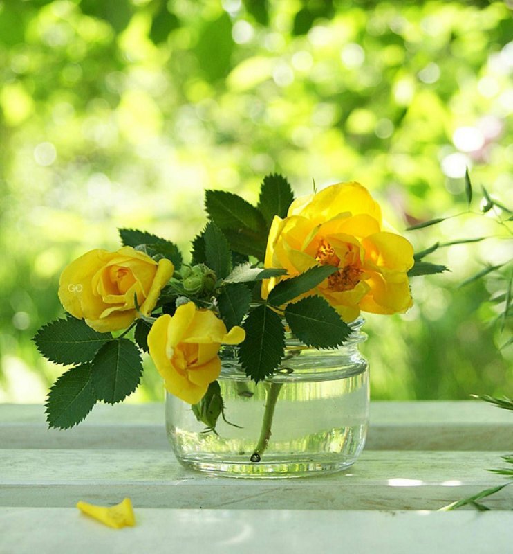 Жизнерадостные цветы: 3D открытка с желтыми цветами в корзине для ваших особых моментов