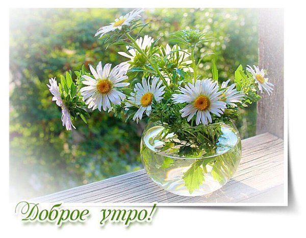 Поздравления с новым днем