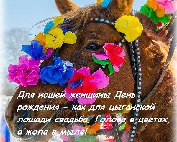 Свадебная лошадь голова в цветах