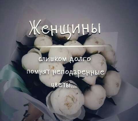 Цитаты про злые языки