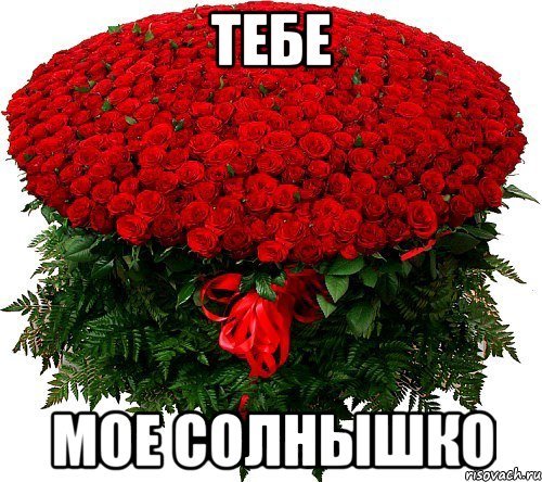 Миллион роз для тебя