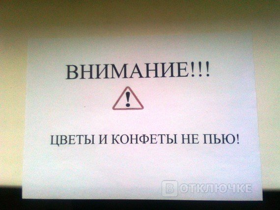 Цветы и конфеты не пью