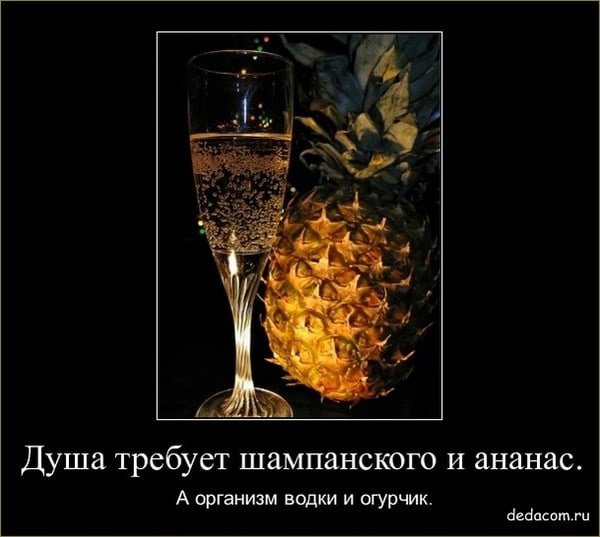 Картинки цветы и конфеты не пьем (67 фото)