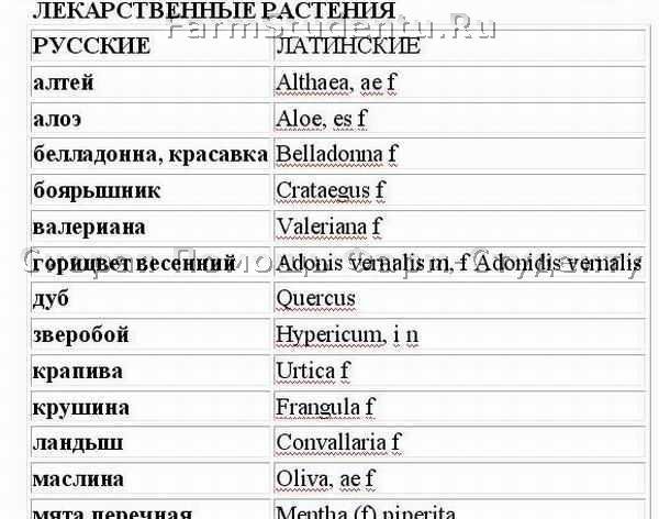 Лекарственные растения на латыни