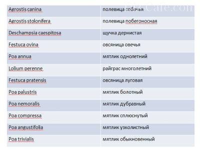 Названия растений на латыни