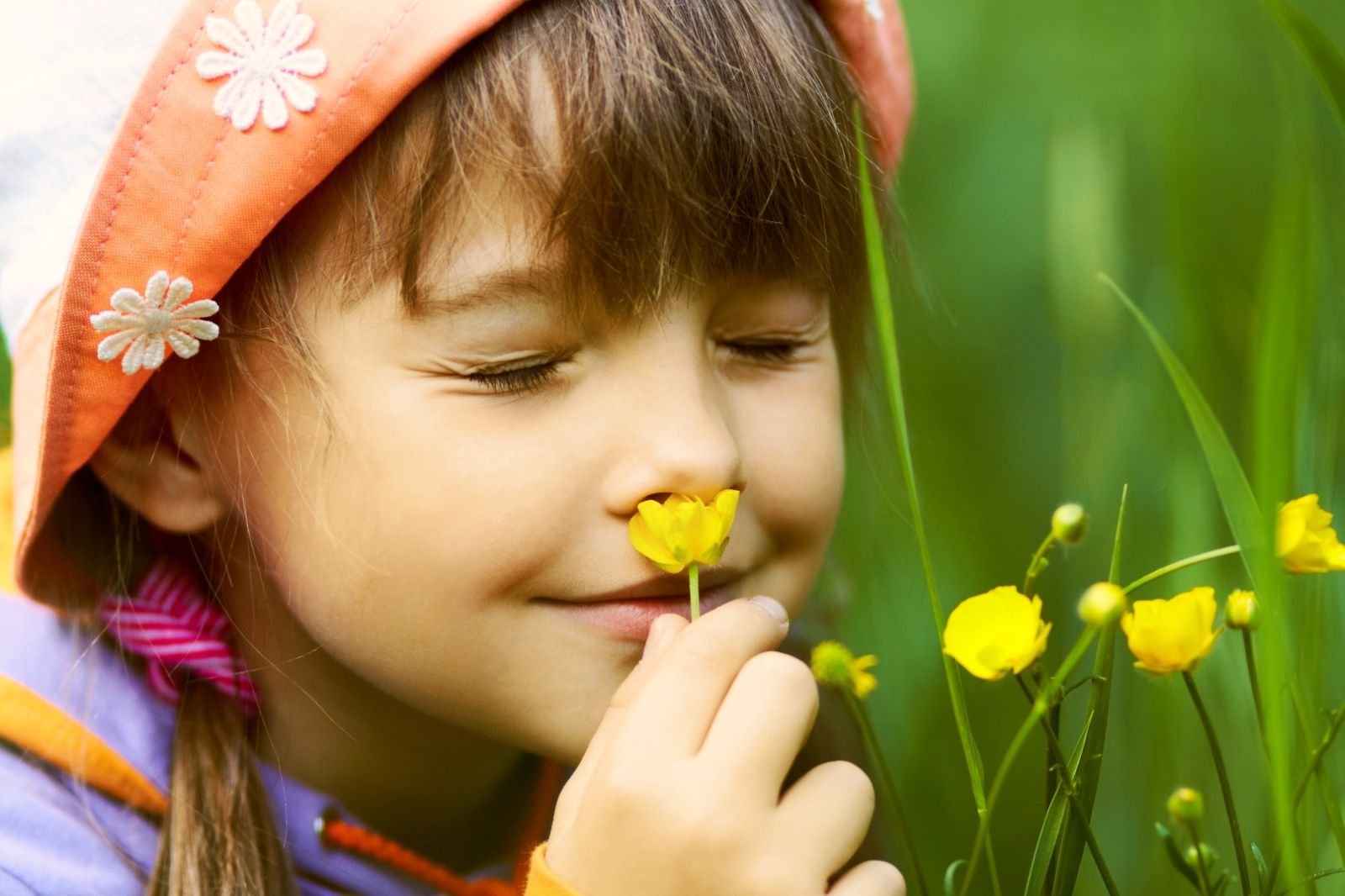Обоняние детей. Ребенок нюхает цветок. Девочка нюхает цветок. Обоняние для детей. Человек нюхает цветок.