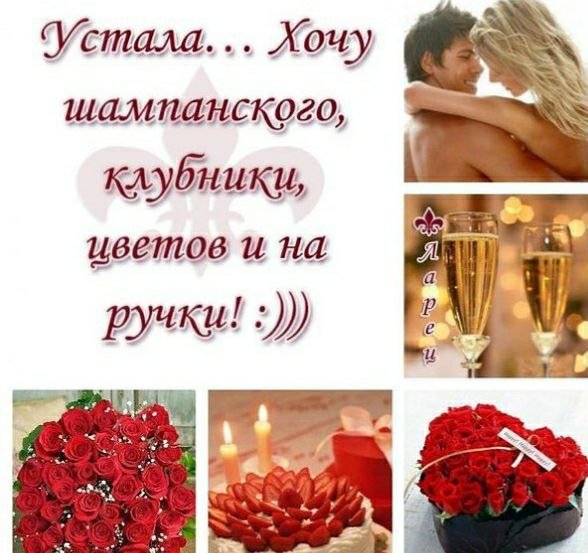 Устала хочу цветов шампанского