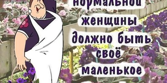 Приколы про фиалки в картинках