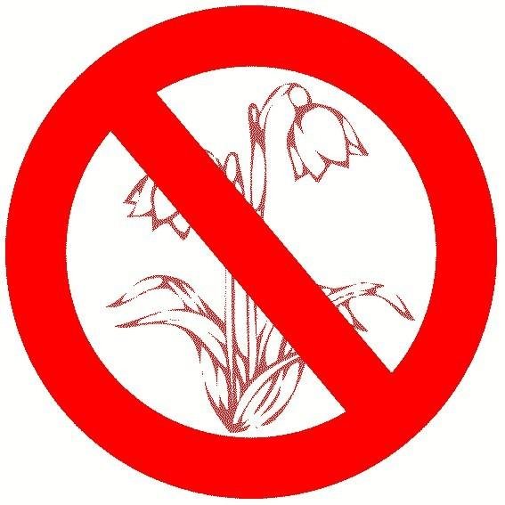 Природоохранные знаки для детей раскраски