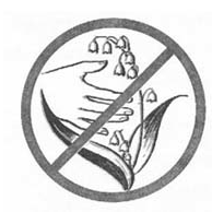 Знак запрещающий рвать цветы