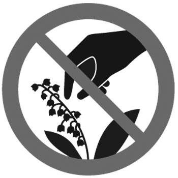 Знак не рви цветы