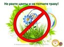 Картинки знак не рви цветы для детей знаки (62 фото)