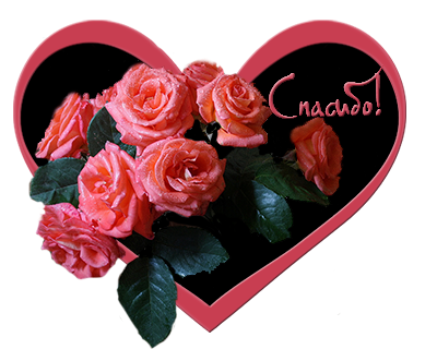 Открытки с сердечками и цветами