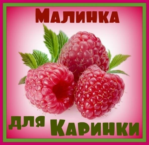 Роза гр Анна Карина