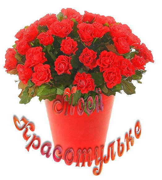 Открытка комплименты