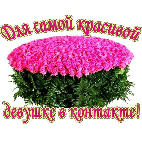 Цветы для красотульки