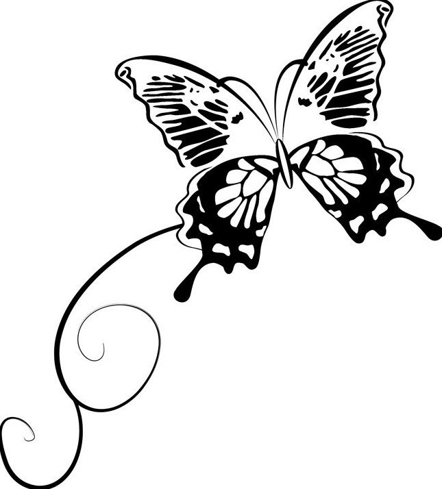 Бабочки – Полосатая бабочка и черно-белая гусеница