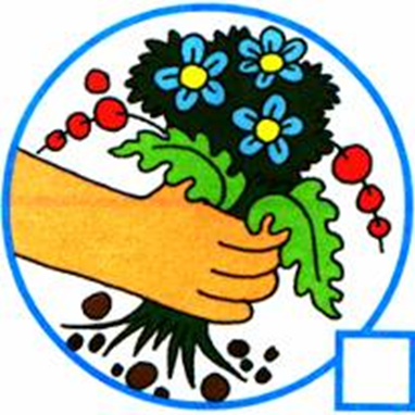 Нельзя рвать цветы