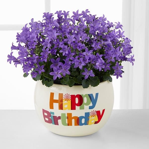 Цветок "Happy Birthday"