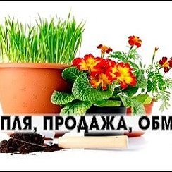 Букеты в магазине