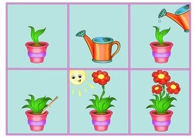 Четвертый лишний растения для дошкольников