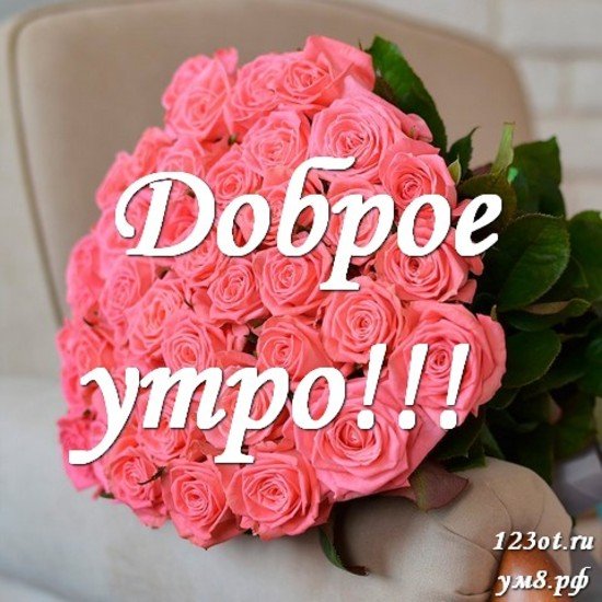 Цветы любимой с добрым утром