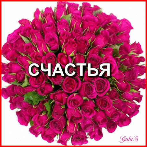 Красивые цветы для Оксаны