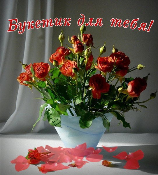 Добрый день и букетик для тебя