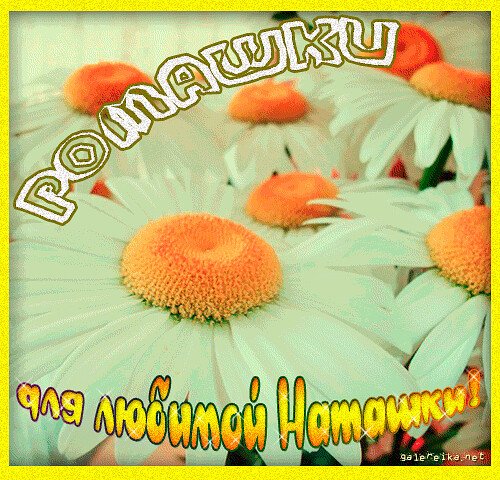Стихи про цветы