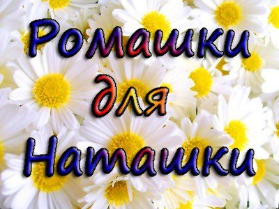 Стихи о ромашках красивые