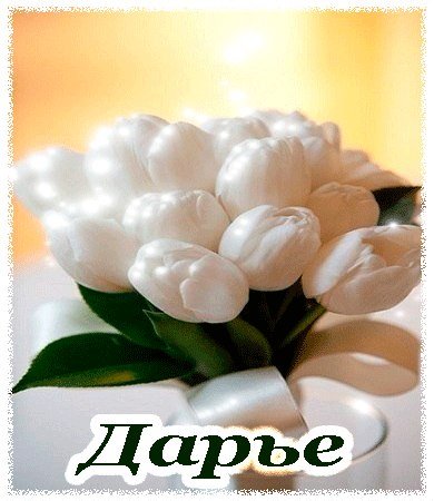 Поздравления с днём рождения Дашенька