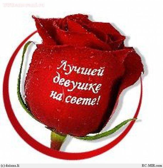 Розы с надписью