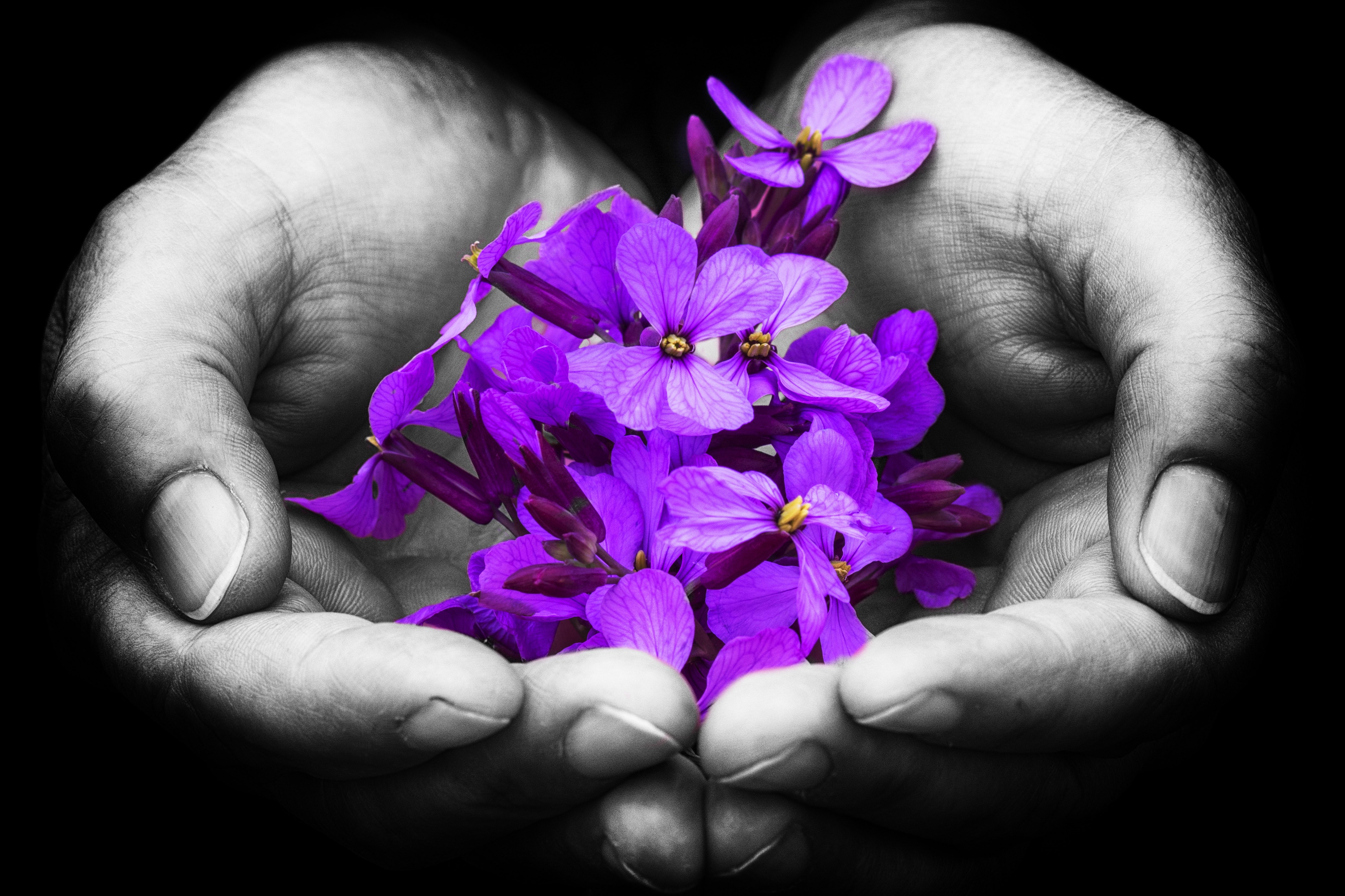 Be a flower kusuriya. Цветы в ладонях. Красивые цветы в руках. Цветок на руку.. Цветы в мужских руках.