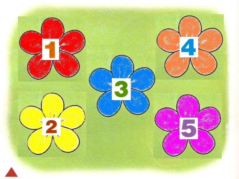 Угадай от 1 до 5. Цветы для математики для дошкольников. Цветок с цифрой в середине. Цветочки с цифрами от 1 до 5. Букет цветов с цифрами от 1 до 5.
