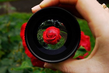 Композиция с фотоаппаратом