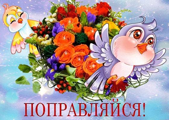 Цветы для выздоровления