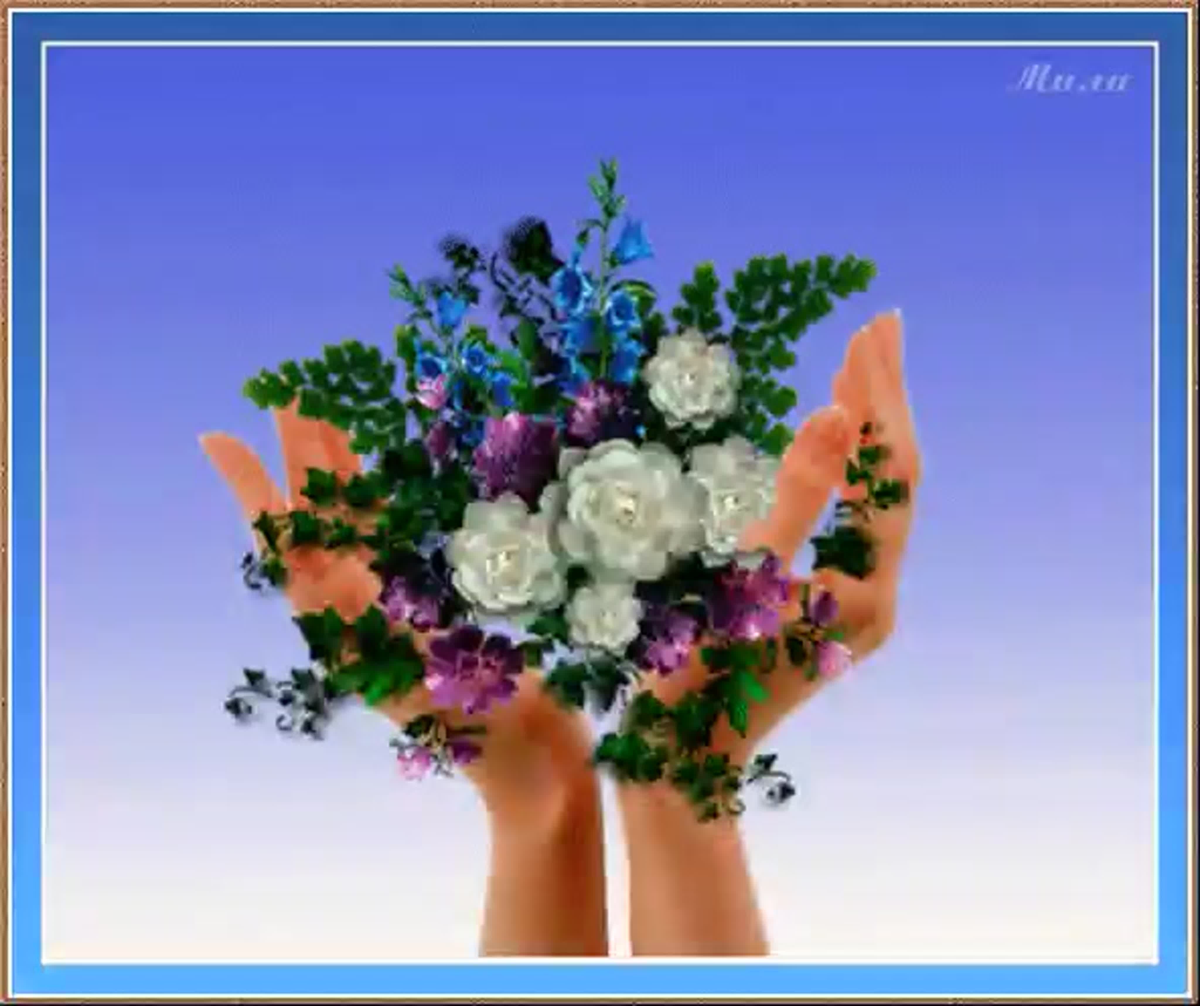 Гифка дарит цветок. Открытки с цветами. Открытка "букет". Скромный букет цветов. Дарит цветы.