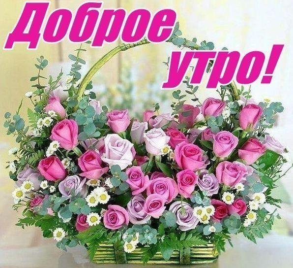 Букет роз с добрым утром