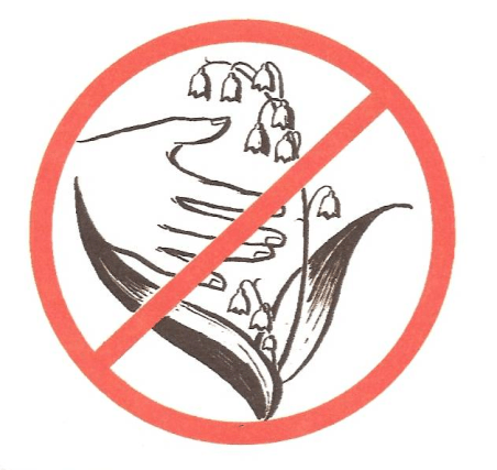 Знак не рви растения