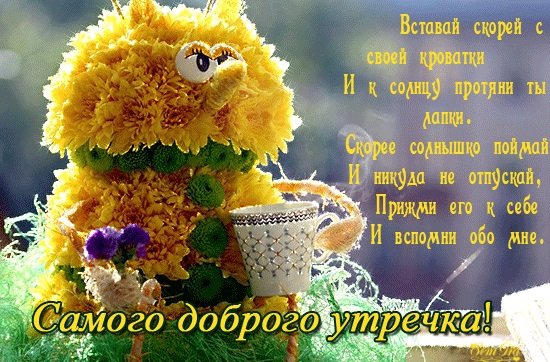 Красивые поздравления с добрым утром