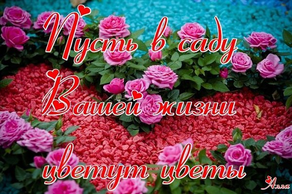 Цветы для Томочки