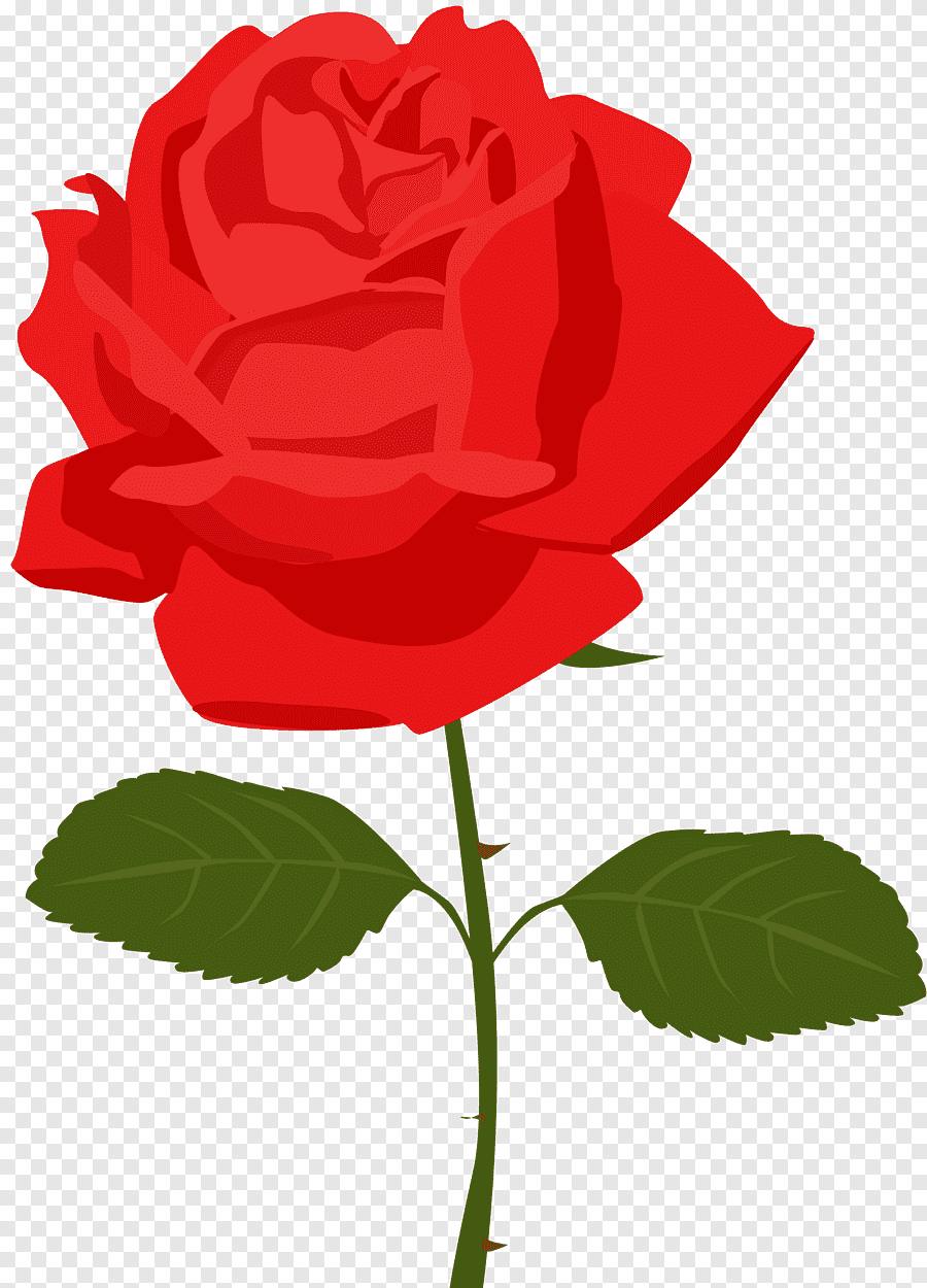 Раскраски розы красивые - 63 фото