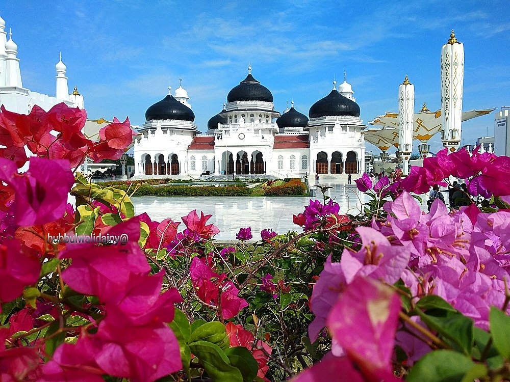 Тур в стамбул из минеральных. Мечеть и цветы. Мечеть с цветами. Красивая мечеть в цветах.