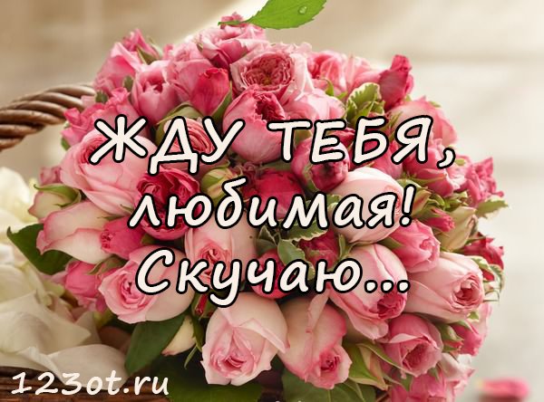 Красивые цветы для девушки соскучился