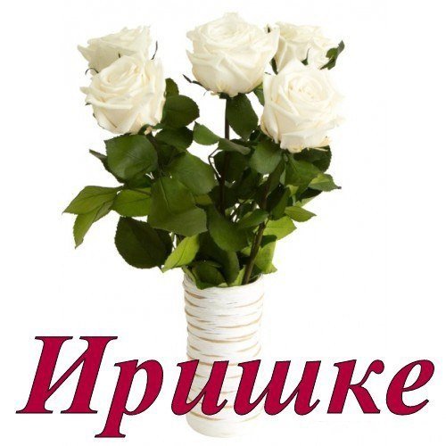 Цветы для Ирочки