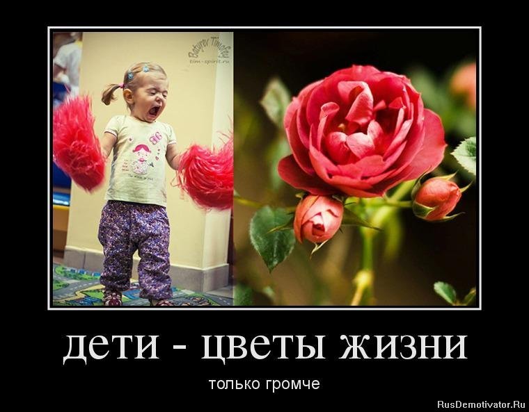 Дети цветы нашей жизни