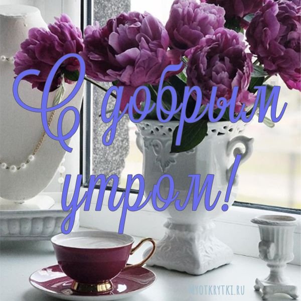 Доброе утро пионы с надписью