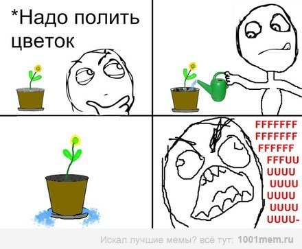 Мемы про полив цветов
